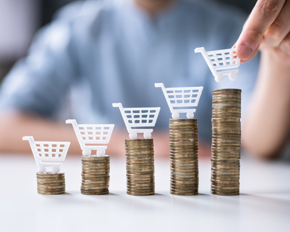 eCommerce Growth Case Study