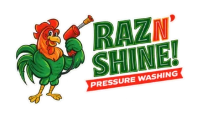 Raz Cleaning Service